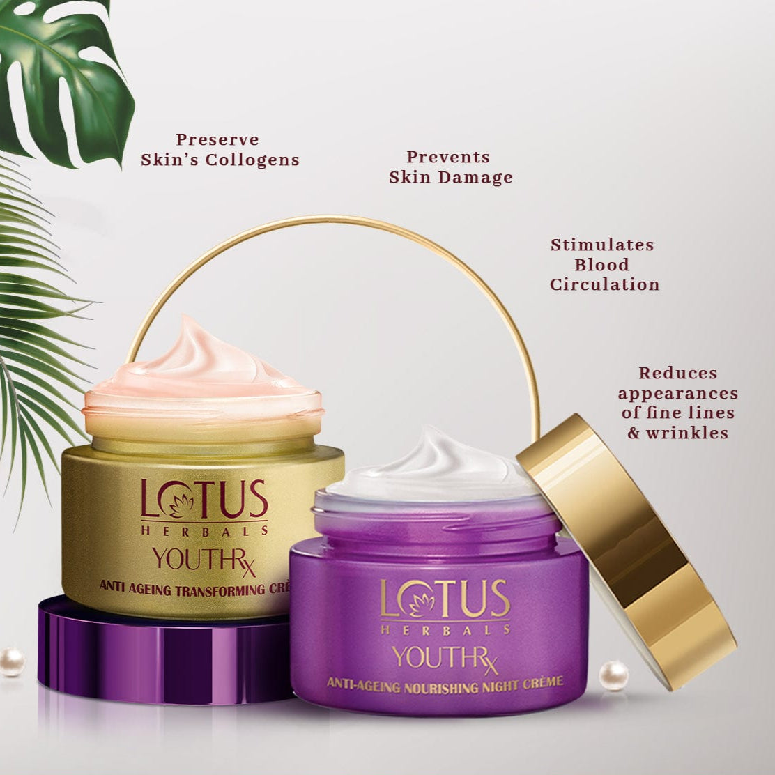 YouthRX Wrinkle Defense Combo