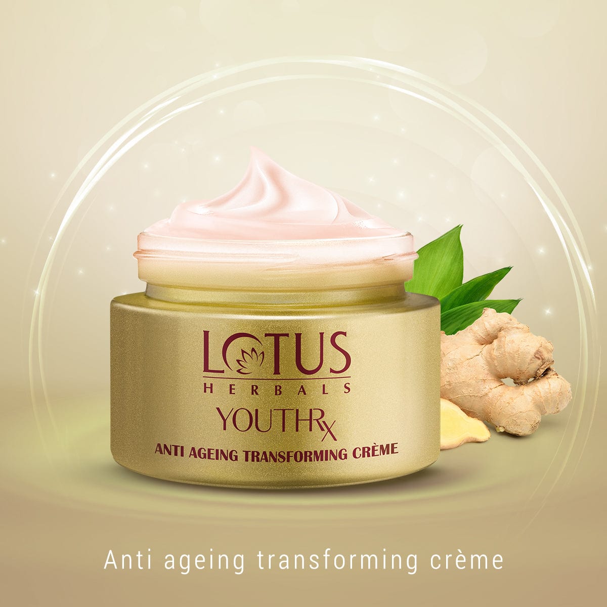 YouthRx Anti Ageing Transforming Cream SPF 25 | PA+++