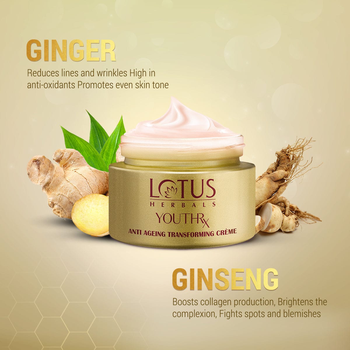 YouthRx Anti Ageing Transforming Cream SPF 25 | PA+++