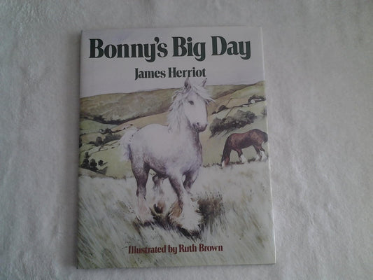Bonny's Big Day Paperback