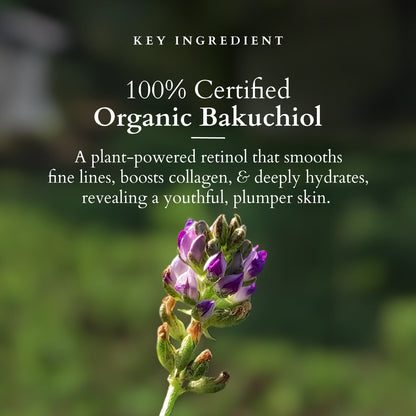 Bakuchiol Plant Retinol Crème
